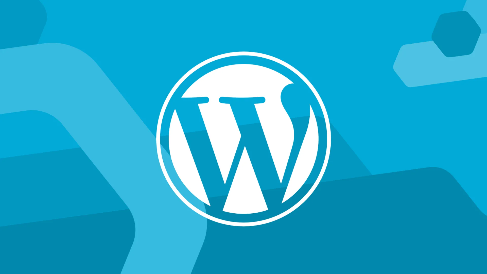 wordpress-website-development1